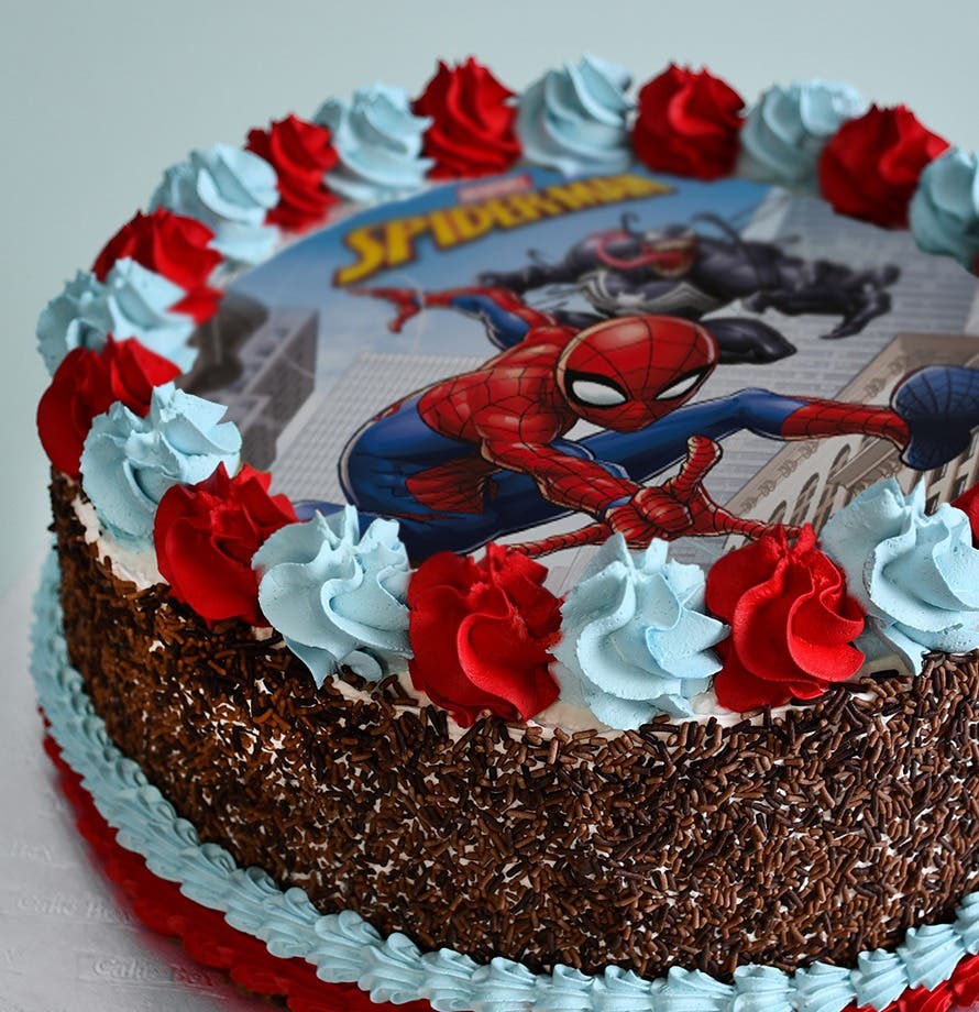 Spiderman Kids Cake
