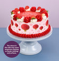 Gâteau aux fraises du Nouvel An chinois RD358CH12XX