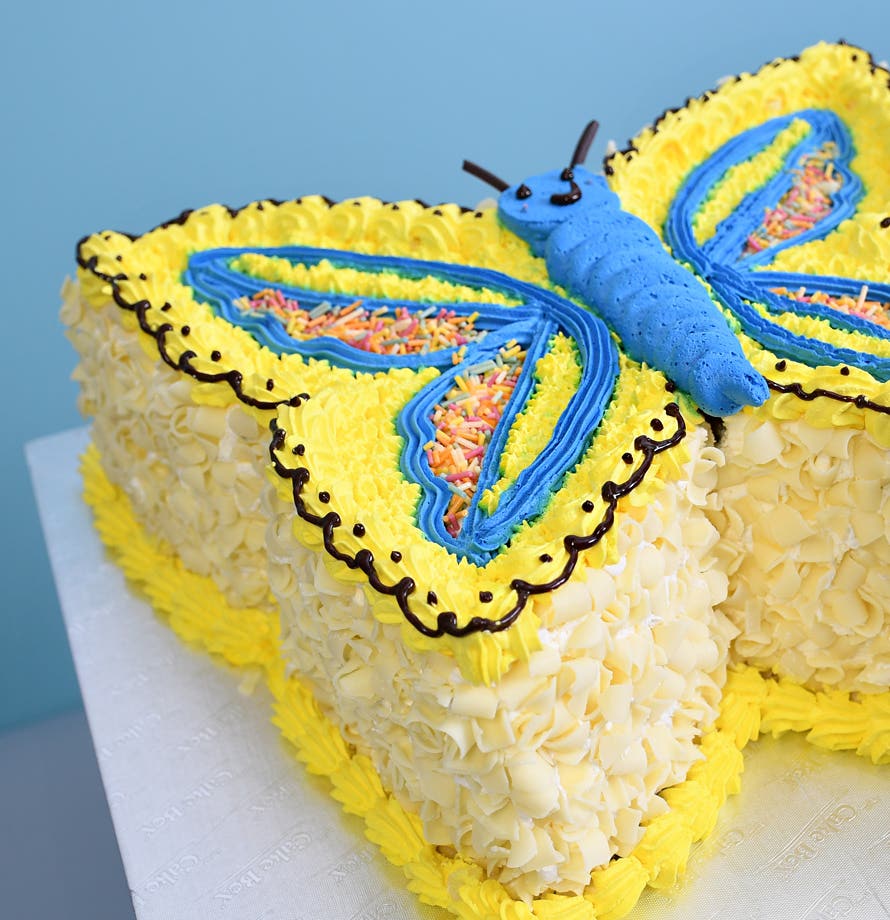 Sunny Sky Butterfly Cake