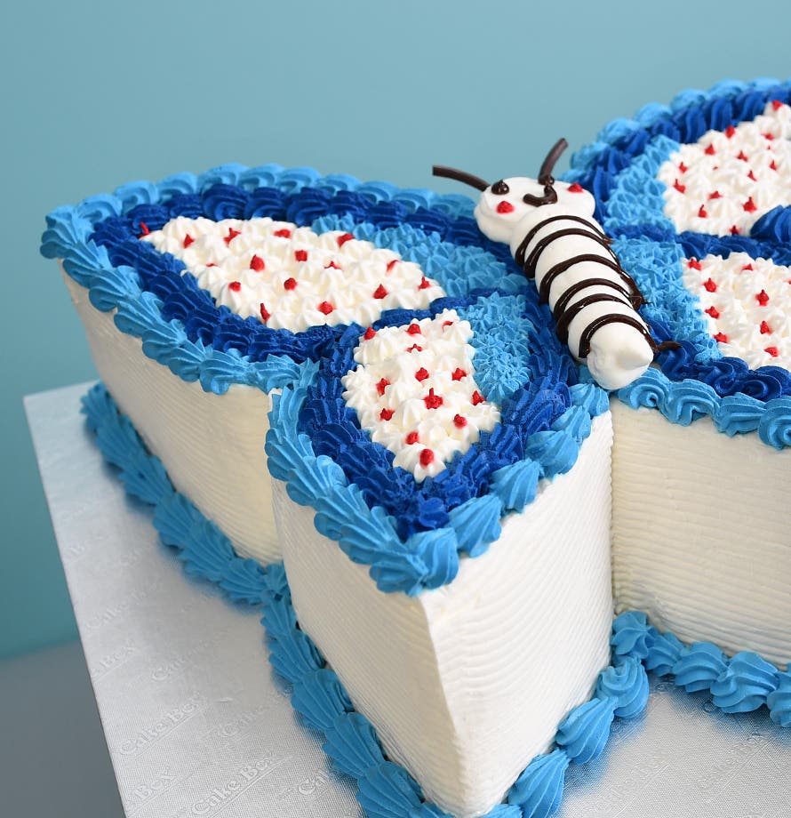 Blue Sky Butterfly Cake