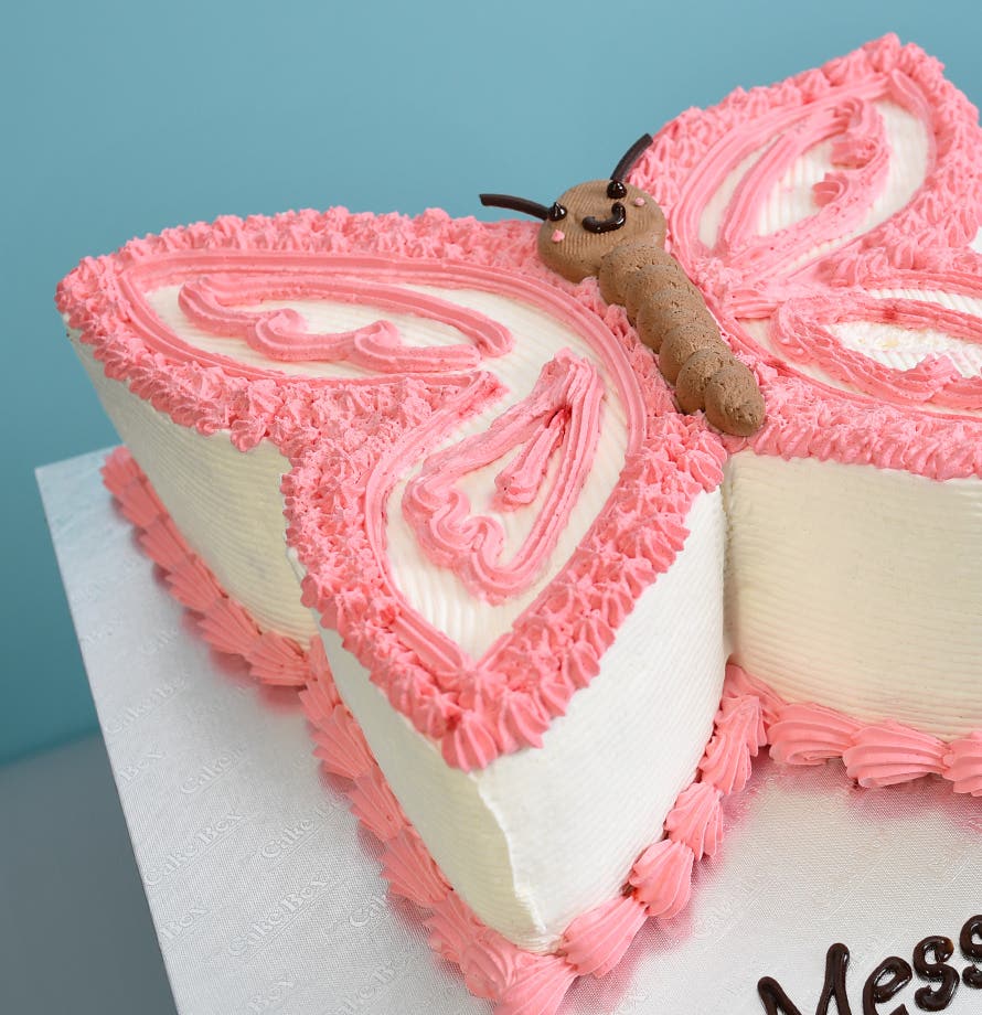 Gâteau papillon Rose Bonbon