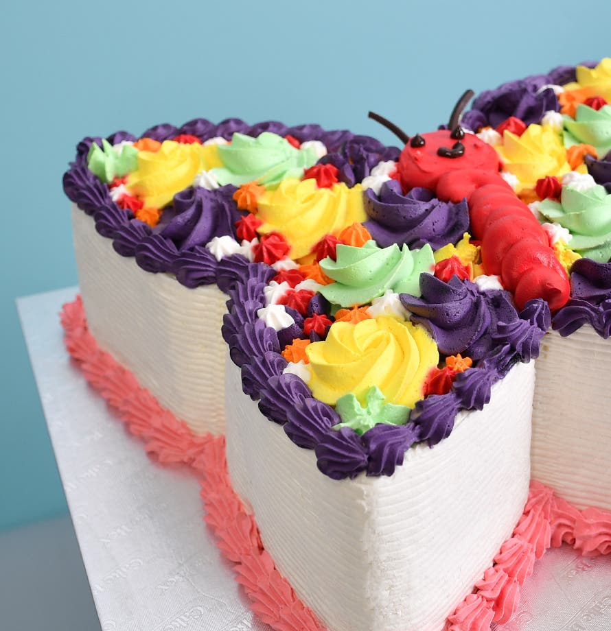 Rainbow Wings Butterfly Cake