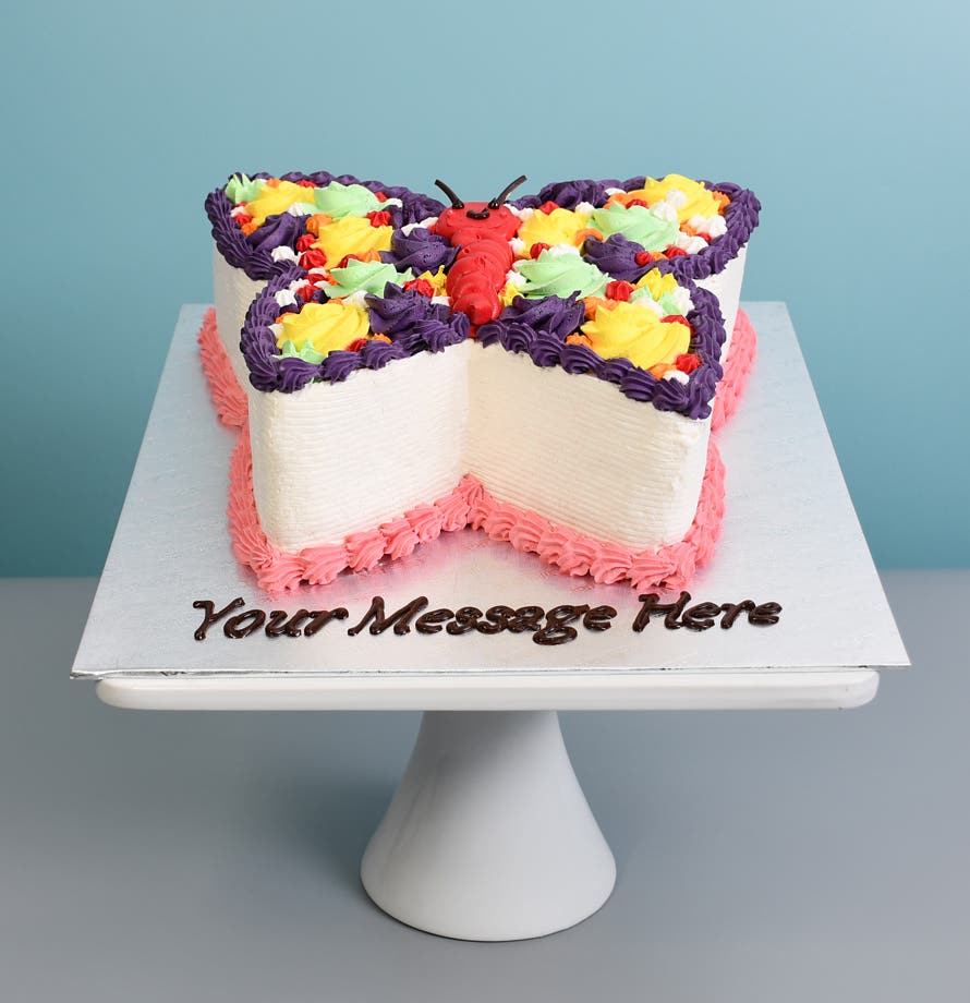 Rainbow Wings Butterfly Cake