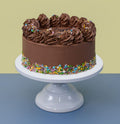 Gâteau au chocolat avec vermicelles de couleur arc-en-ciel