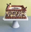 Chocolate Hazelnut